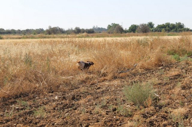 Αγωνες Α.Κ.Ι 11/6/2017